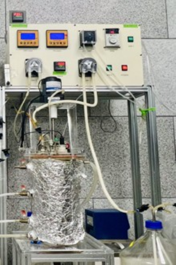 Nitrogen cycle reactor